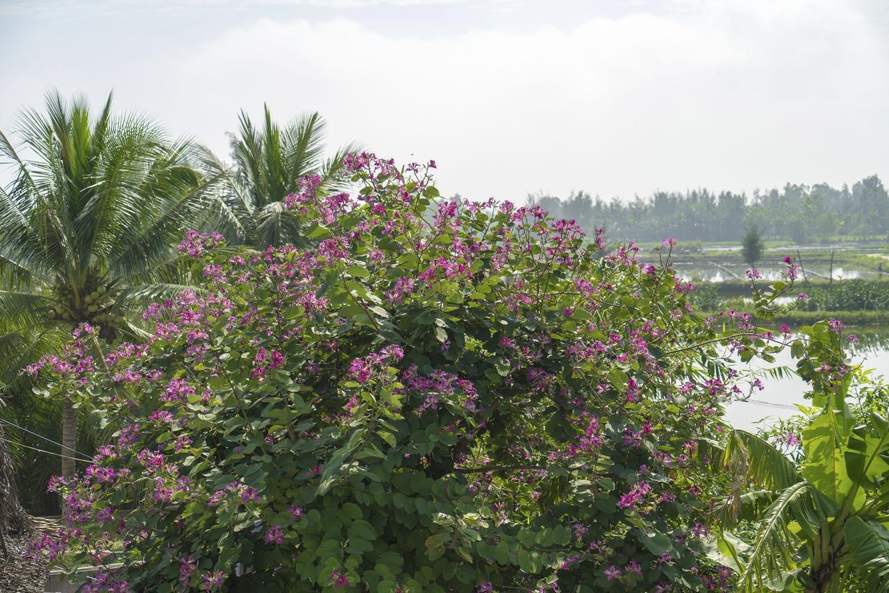 Hoi An Luna Villa Екстер'єр фото