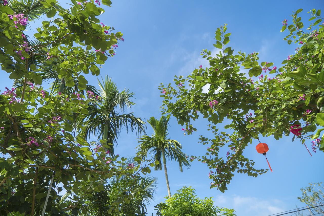 Hoi An Luna Villa Екстер'єр фото